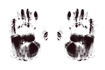 hand print on white background