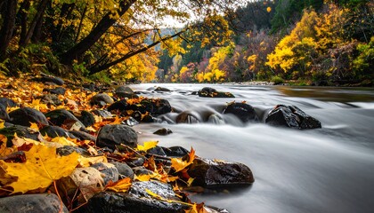 Autumn river scene