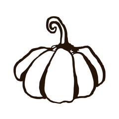vector illustration of a pumpkin