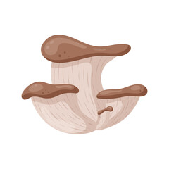 Oyster mushroom in flat style  on white background. Autumn mushroom. Fall element. Clip art. Cute autumn  icon. Design for autumn decorations, web, books, social media. Vector illustration.