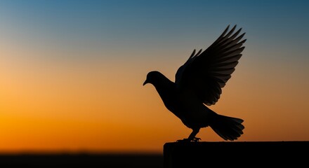 Silhouette of a bird against an orange and blue sky at sunset