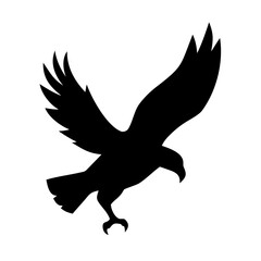 Eagle flying in the sky vector illustration