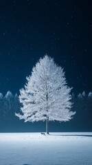 Serene small wolf in snowy white Christmas blue night landscape with soft lights