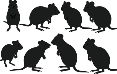 Collection of black rat silhouettes in various standing and sitting poses isolated vector illustration rodent animal wildlife pest control design