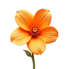 Fototapeta premium 3d Orange flower on nature high fidelity isolated on transparent background