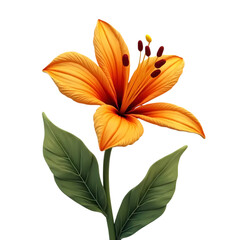 Fototapeta premium 3d Orange flower on nature high fidelity isolated on transparent background