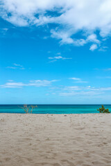 Beautiful, deserted Caribbean beach near the border with Haiti. Tranquil, crystal clear, turquoise Caribbean sea. Peaceful vacation, nobody. Contrast with bush branches in the foreground. Copy space. 