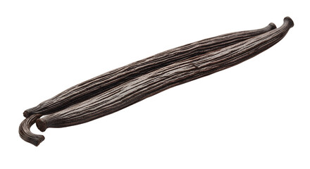 Premium Vanilla Beans Aromatic Ingredient Isolated