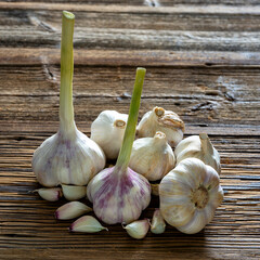 Fresh garlic on rustic wood - fine art food