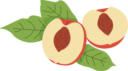 Fresh Half Peaches Illustration with Leaves Vector