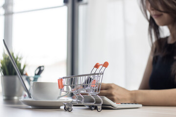 a person who is going to pay using a credit card in ecommerce
