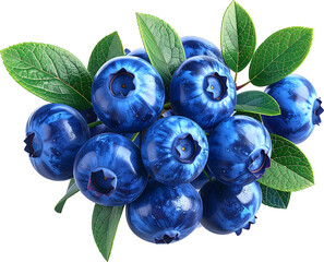 Blueberry 3D PNG Transparent Background (Isolated on White Background)