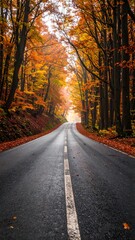 Autumnal forest road