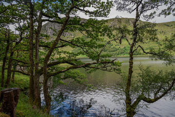 Lough Veagh in Glenveagh National Park, Ireland, features a tranquil lake surrounded by lush greenery and mountains, offering a serene and picturesque landscape