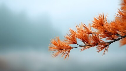 Macro pine needle glowing orange, blurred foggy valley glowing in soft morning hues