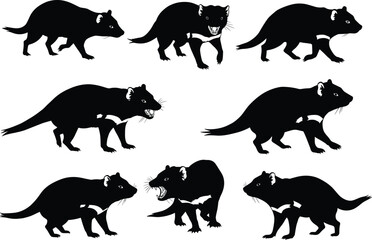 Silhouette vector illustration of Tasmanian devil marsupial animals showing aggressive roaring and walking poses Australian wildlife black design isolated on white background