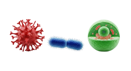 Hyper-realistic 3D rendered red spiky virus, blue rod bacteria, and green eukaryotic cell models, isolated on a transparent shadowless background, precise scientific collection concept