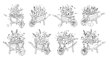 Fototapeta premium Collection of detailed line art drawings of whiskers and mouth anatomy series vector