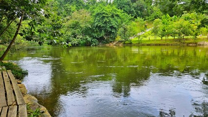 bamboo pontoon beside river and reflection of tree on surface of water in nature landscape.