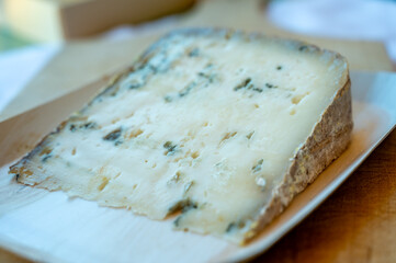 Piece of French blue cheese Bleu des Basques, made from goat milk in caves of Basque Country, France