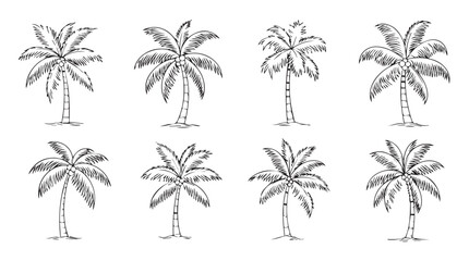 Collection of elegant stylized palm tree silhouettes for tropical and beach themed designs vector