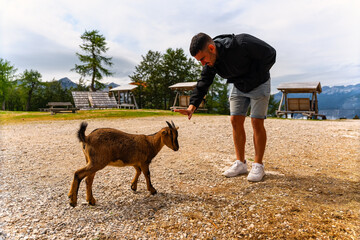 Tourist with a goat at the top of the ski resort of Vogel, Slovenia.