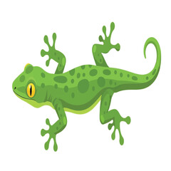 A cartoon illustration of a light green gecko with dark green spots, curled tail, and yellow eyes.