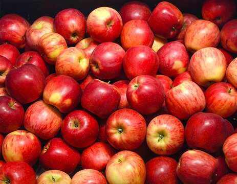 Close-up of many red apples