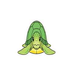 A cartoon illustration of a green turtle facing the viewer, isolated.