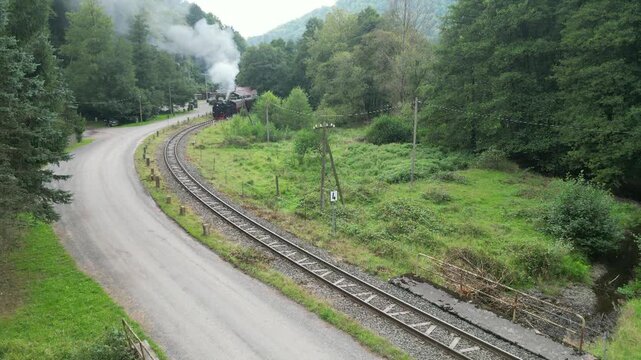 Harzer Schmalspurbahn f&auml;hrt durch den Harz 