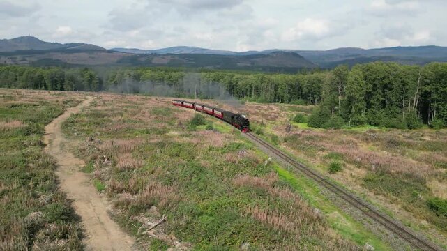 Harzer Schmalspurbahn f&auml;hrt durch den Harz 