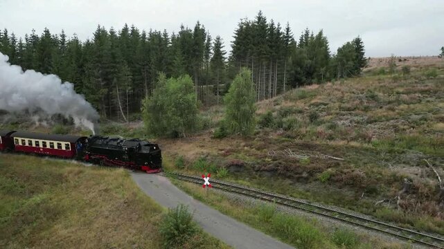 Harzer Schmalspurbahn f&auml;hrt durch den Harz 