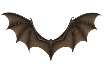 Brown bat wings fantasy illustration with transparent background