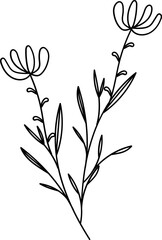 black and white floral