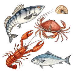 seafood sketches set