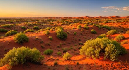 Obraz premium Desert landscape at sunrise. Sparse vegetation atop red dunes