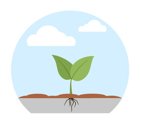 Green young plant vector illustration. Cute sprout with root system. Seeds sprout in ground. Sprout, plant, tree growing agriculture icons