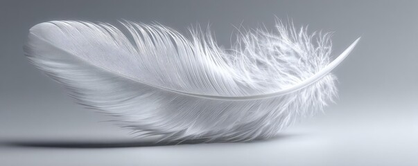Obraz premium Closeup white feathers background for calm concept. A delicate white feather gracefully floating in soft light.