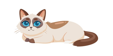 Adorable Snowshoe Cat with Striking Blue Eyes Perched on White Surface.