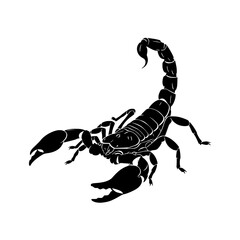 Vector art of a detailed silhouette of a scorpion, showcasing its intricate exoskeleton, menacing claws, and poised stinger, symbolizing danger and resilience