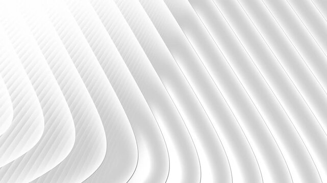 White Abstract Parallel Curved Lines Background with Soft Lighting image photo