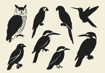 Diverse Wildlife Avian Vector Graphics Set Featuring Elegant Bird Silhouettes and Line Art for Creative Projects