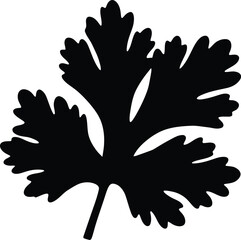 Obraz premium Black silhouette of a detailed parsley leaf vector graphic