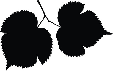 Elegant black leaf vector illustration scalable eps icon for nature design