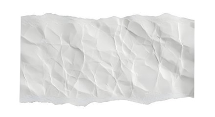 A wrinkled and torn piece of white paper with a rough, jagged edge on a white background