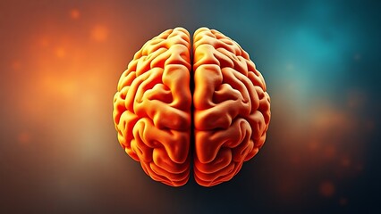 Artistic illustration of human brain halves, symbolizing duality and cognitive contrast.