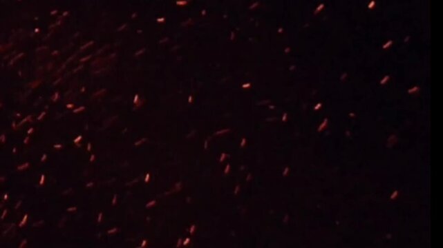 Animation orange fire glow particle on black background.