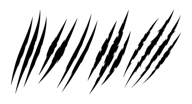 Abstract Black Claw Marks on White Background Illustrating Wild Animal Attacks or Grunge Textures