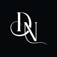Initial letter DN logo design 