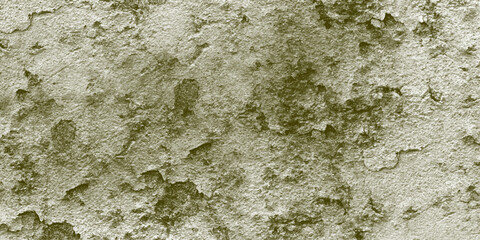 Aged Olive Green Textured Wall Surface with Peeling Paint and Rough Gritty Details background